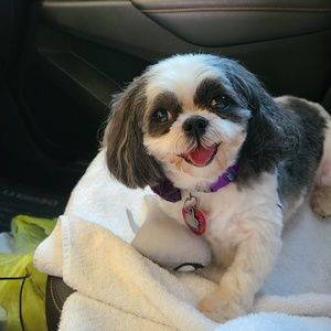 Meet your Posher, Debi